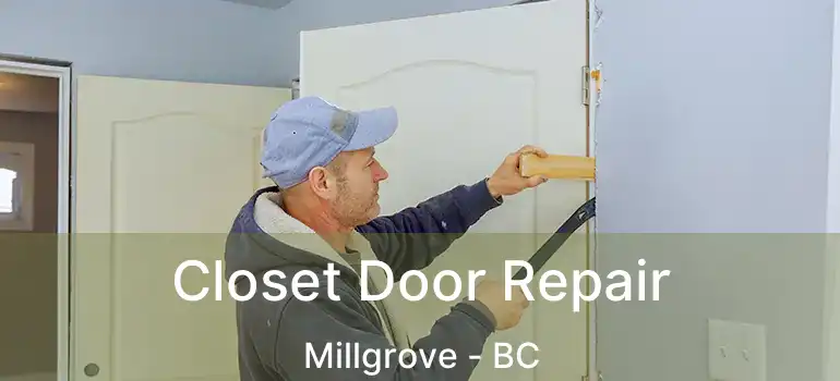  Closet Door Repair Millgrove - BC