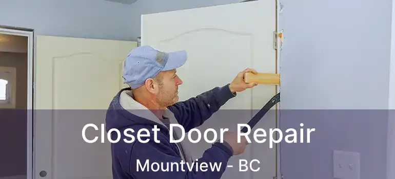  Closet Door Repair Mountview - BC