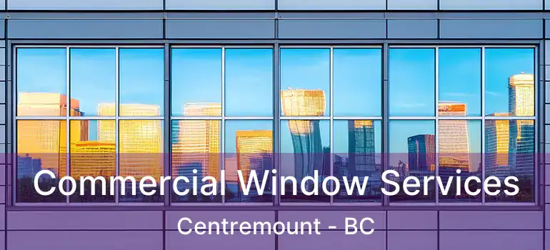  Commercial Window Services Centremount - BC