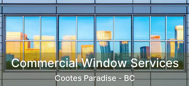  Commercial Window Services Cootes Paradise - BC