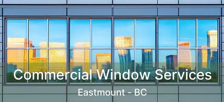  Commercial Window Services Eastmount - BC