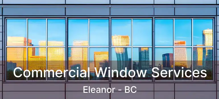  Commercial Window Services Eleanor - BC