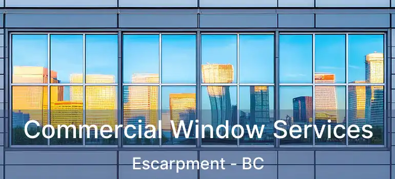  Commercial Window Services Escarpment - BC