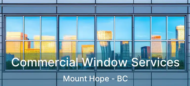  Commercial Window Services Mount Hope - BC