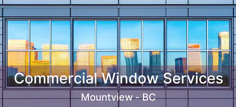  Commercial Window Services Mountview - BC