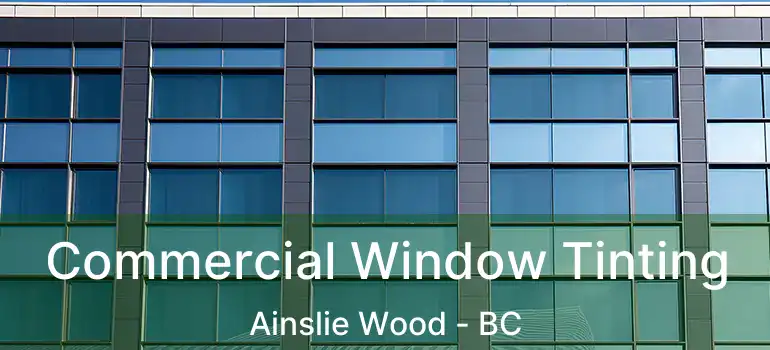  Commercial Window Tinting Ainslie Wood - BC