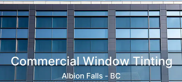  Commercial Window Tinting Albion Falls - BC