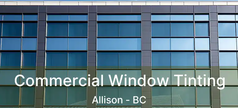  Commercial Window Tinting Allison - BC