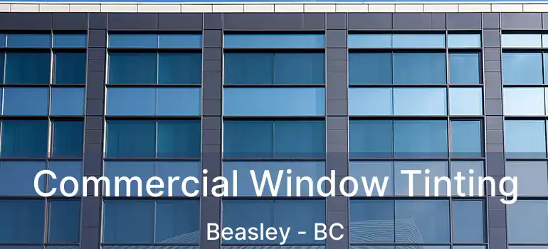  Commercial Window Tinting Beasley - BC