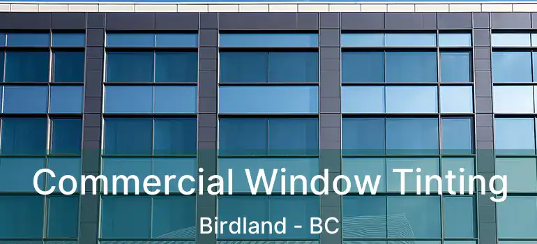  Commercial Window Tinting Birdland - BC