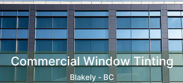  Commercial Window Tinting Blakely - BC