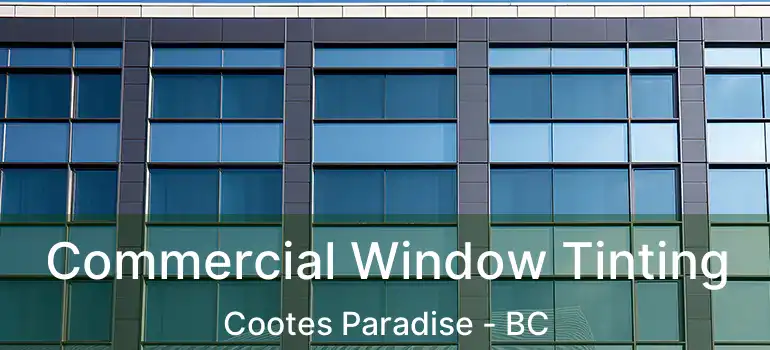  Commercial Window Tinting Cootes Paradise - BC