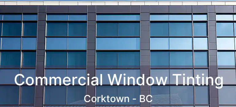  Commercial Window Tinting Corktown - BC