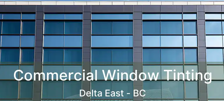  Commercial Window Tinting Delta East - BC