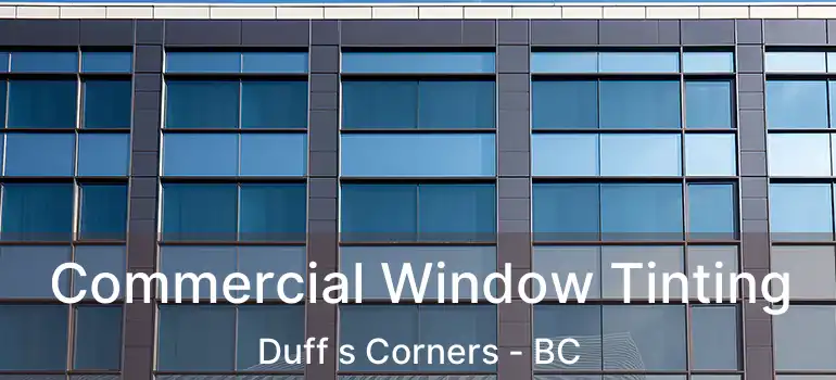  Commercial Window Tinting Duff s Corners - BC
