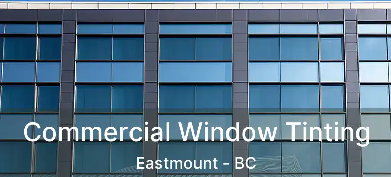  Commercial Window Tinting Eastmount - BC