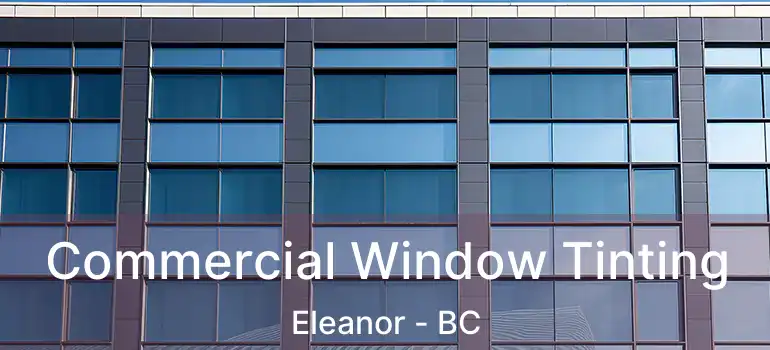  Commercial Window Tinting Eleanor - BC
