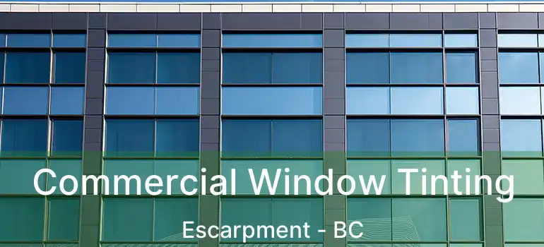  Commercial Window Tinting Escarpment - BC
