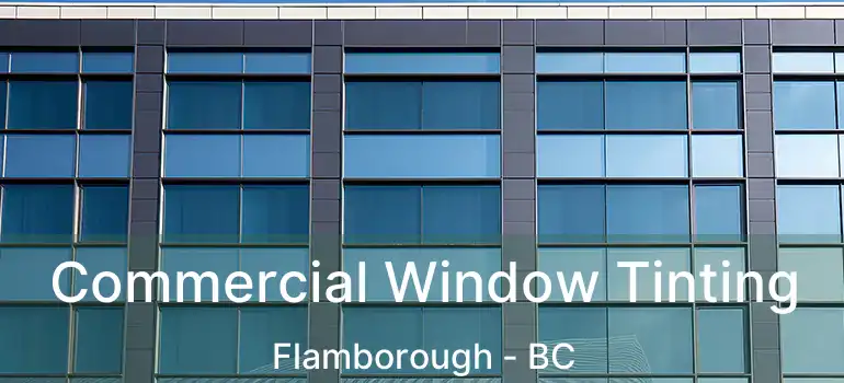  Commercial Window Tinting Flamborough - BC