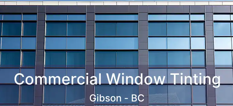  Commercial Window Tinting Gibson - BC
