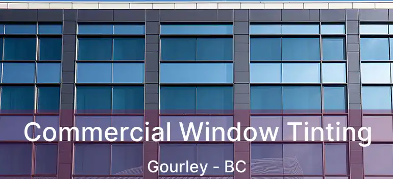  Commercial Window Tinting Gourley - BC