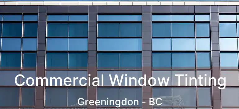  Commercial Window Tinting Greeningdon - BC