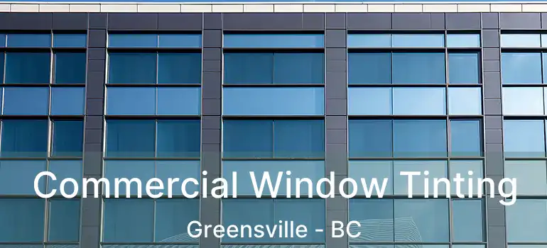  Commercial Window Tinting Greensville - BC