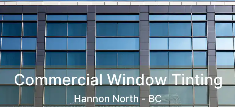  Commercial Window Tinting Hannon North - BC