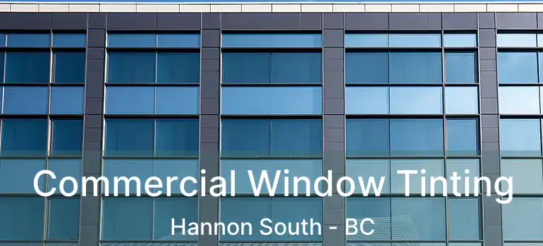  Commercial Window Tinting Hannon South - BC