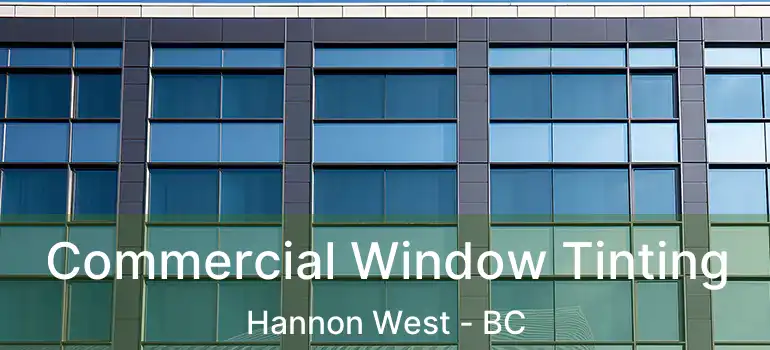  Commercial Window Tinting Hannon West - BC