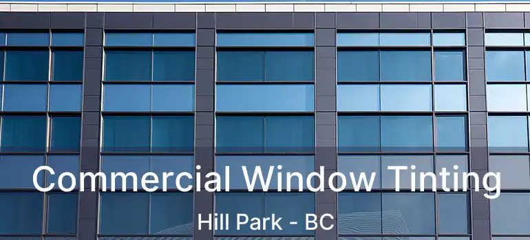  Commercial Window Tinting Hill Park - BC