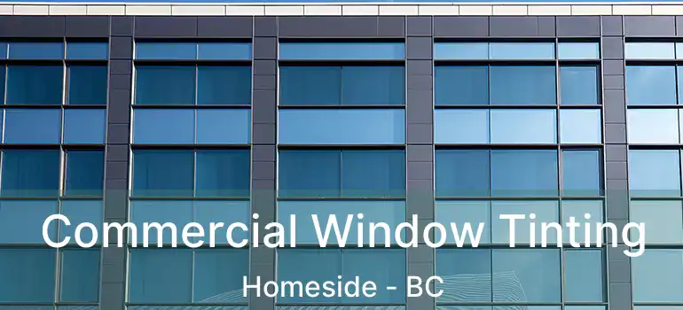  Commercial Window Tinting Homeside - BC