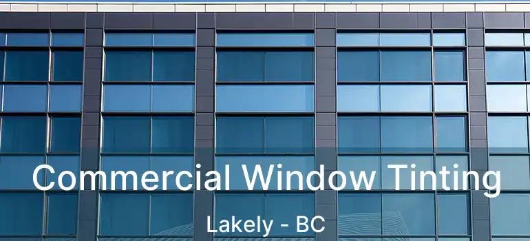  Commercial Window Tinting Lakely - BC