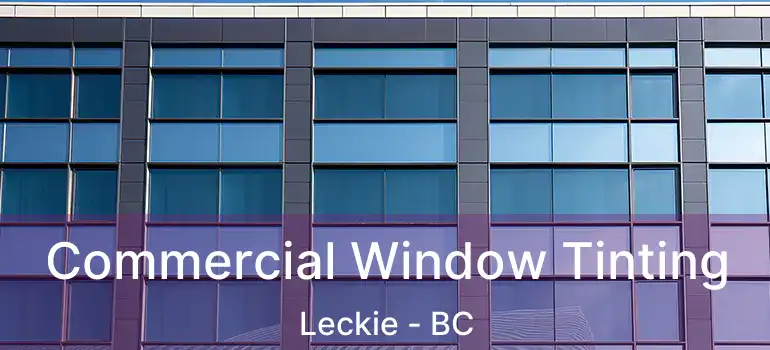  Commercial Window Tinting Leckie - BC