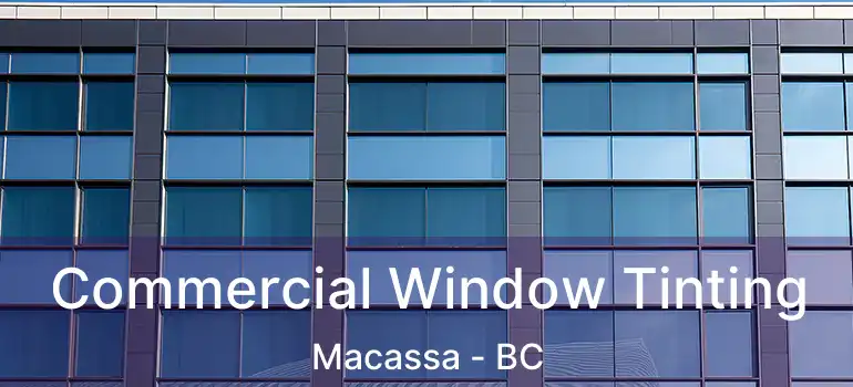  Commercial Window Tinting Macassa - BC