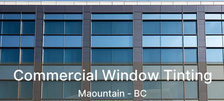  Commercial Window Tinting Maountain - BC