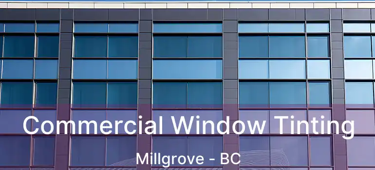  Commercial Window Tinting Millgrove - BC