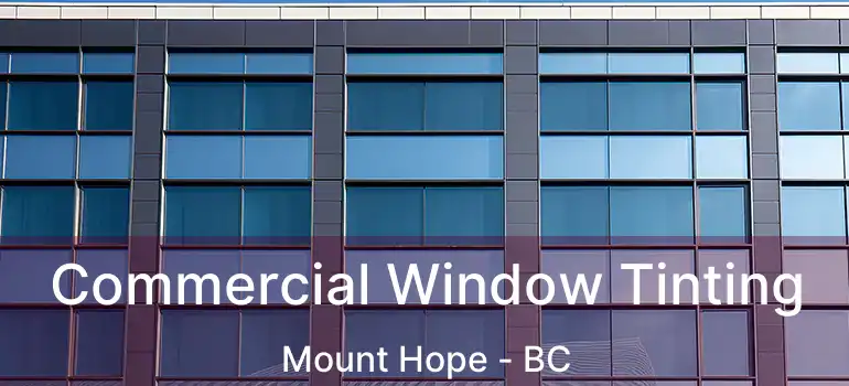  Commercial Window Tinting Mount Hope - BC