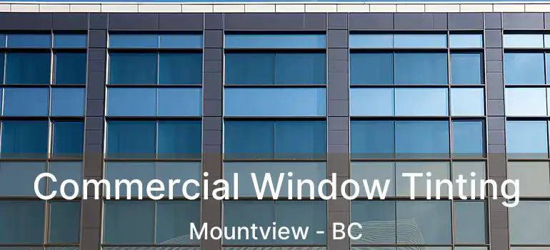  Commercial Window Tinting Mountview - BC