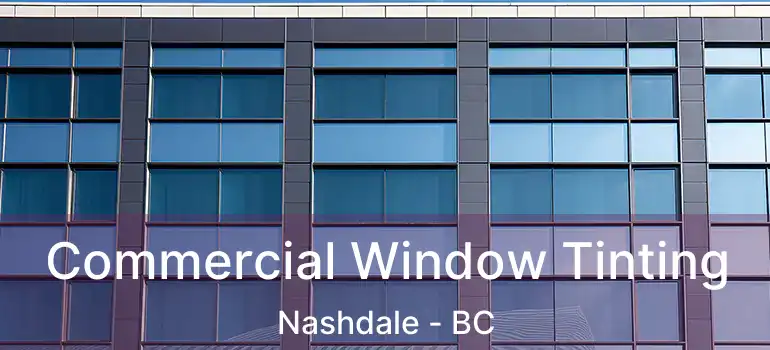  Commercial Window Tinting Nashdale - BC