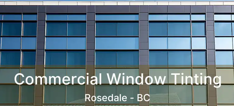  Commercial Window Tinting Rosedale - BC