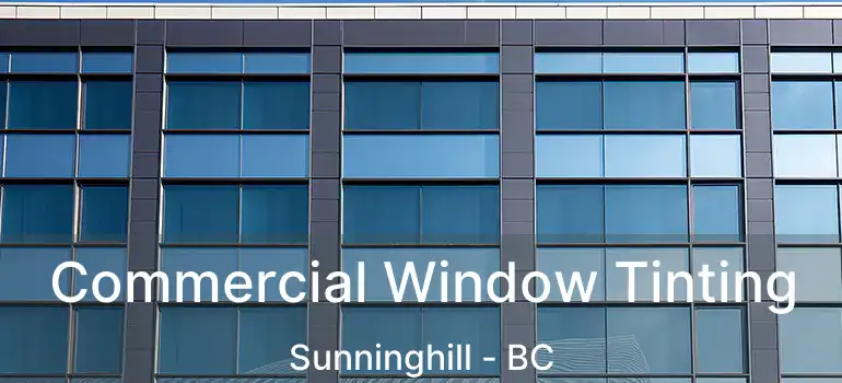  Commercial Window Tinting Sunninghill - BC