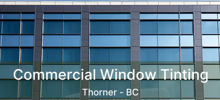  Commercial Window Tinting Thorner - BC