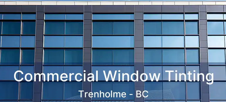  Commercial Window Tinting Trenholme - BC