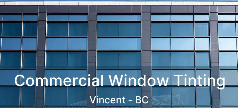  Commercial Window Tinting Vincent - BC