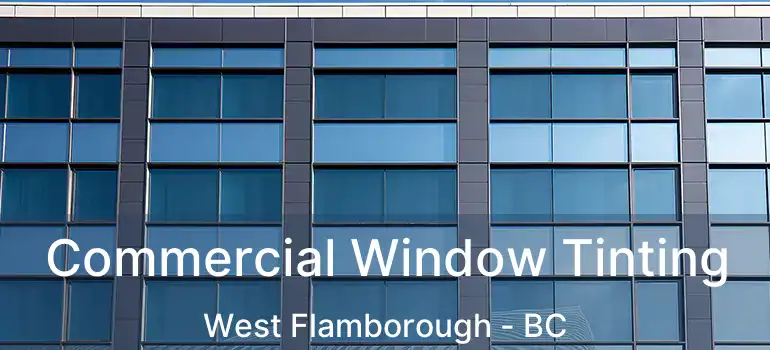  Commercial Window Tinting West Flamborough - BC