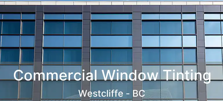  Commercial Window Tinting Westcliffe - BC