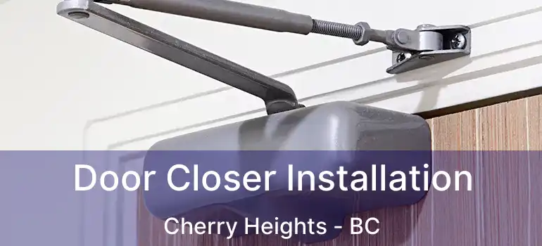  Door Closer Installation Cherry Heights - BC