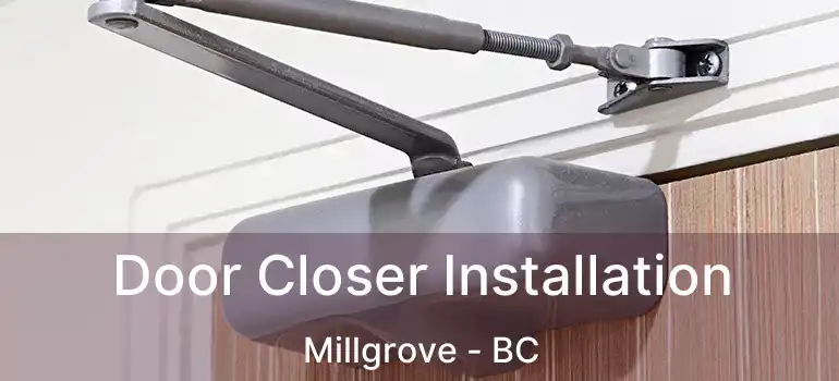  Door Closer Installation Millgrove - BC