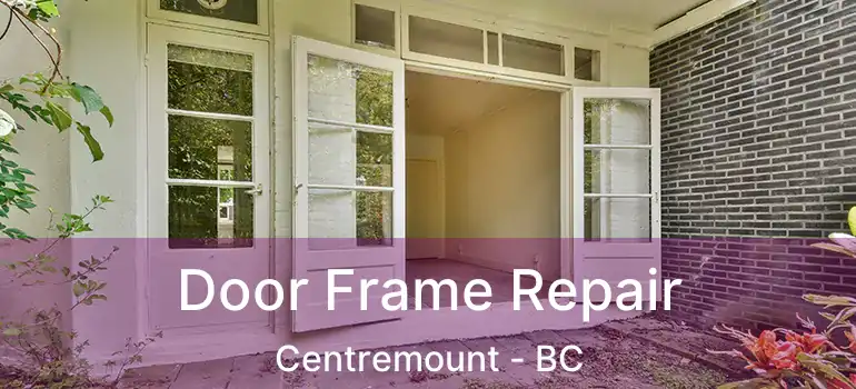  Door Frame Repair Centremount - BC
